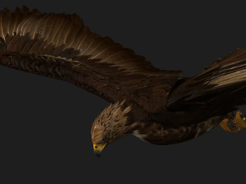 EagleV3E 3D Model