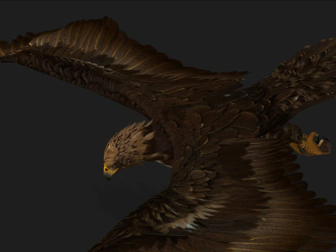 EagleV3E 3D Model