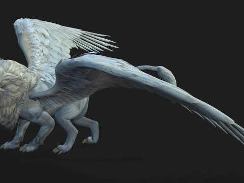 Lion GryphusA1 3D Model