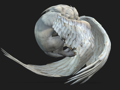 Lion GryphusA1 3Dモデル