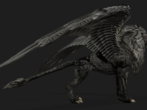 Lion GryphusA2 3D Model
