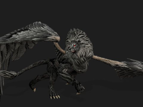 Lion GryphusA2 3D Model
