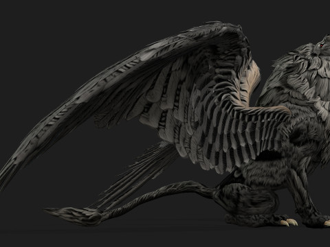 Lion GryphusA2 3D Model