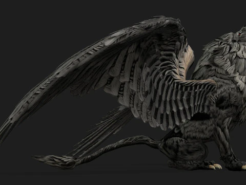 Leone GrifoA2 Modello 3D