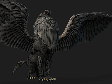 Lion GryphusA2 3D Model