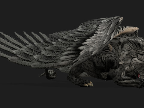 Lion GryphusA2 3D Model