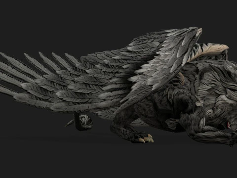 Leone GrifoA2 Modello 3D