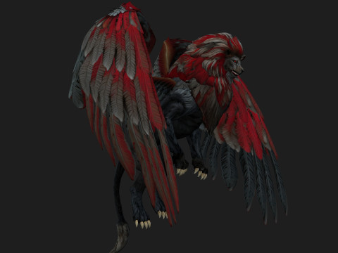 Lion GryphusA3 Modello 3D