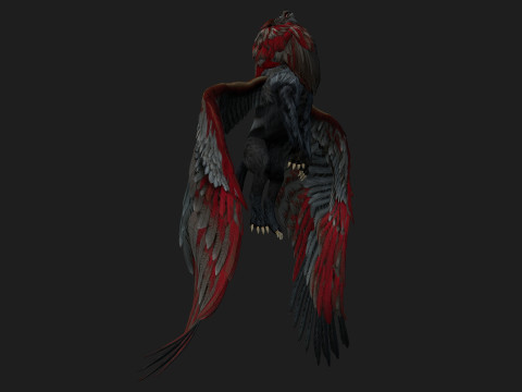 Lion GryphusA3 Modello 3D