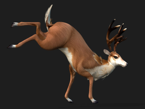 MooseA1 Modèle 3D