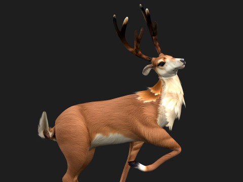 MooseA1 Modèle 3D