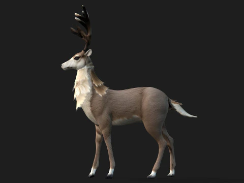 MooseA2 3D Model