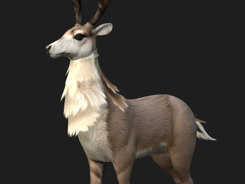 MooseA2 3D Model
