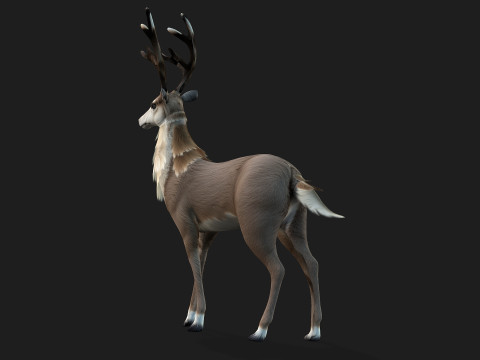 MooseA2 3D Model