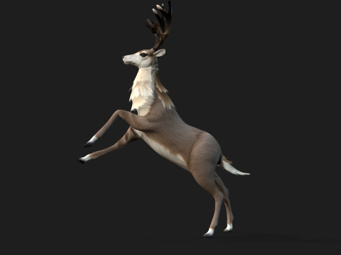 MooseA2 3D Model