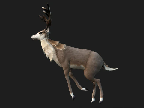 MooseA2 3D Model