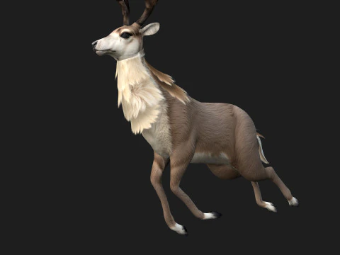 MooseA2 3D Model