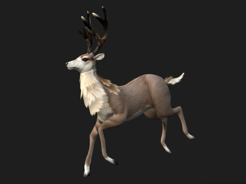 MooseA2 3D Model