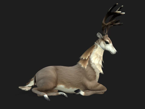 MooseA2 3D Model