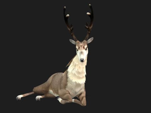 MooseA2 3D Model