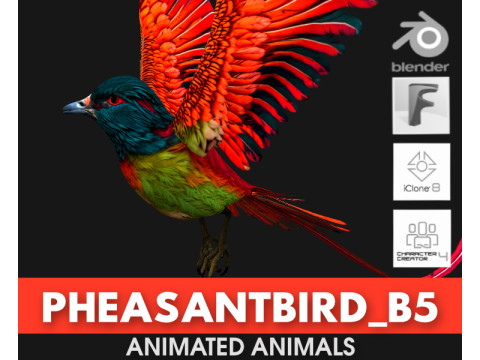 PheasantBirdB5 3D-Modell