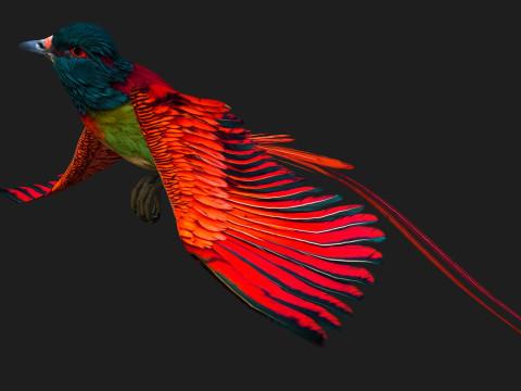 PheasantBirdB5 Modelo 3D