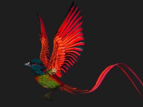 PheasantBirdB5 Modelo 3D