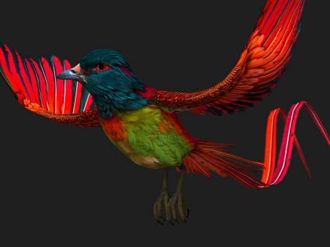 PheasantBirdB5 Modelo 3D