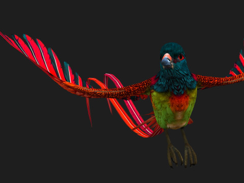 PheasantBirdB5 Modelo 3D