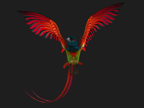 PheasantBirdB5 Modelo 3D