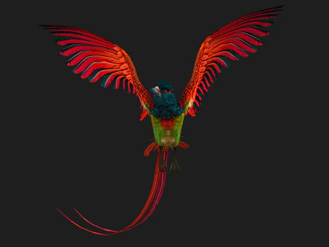 Fais&atilde;oP&aacute;ssaroB5 Modelo 3D