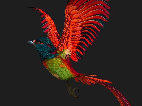 Fais&atilde;oP&aacute;ssaroB5 Modelo 3D