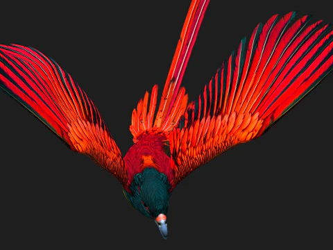 Fais&atilde;oP&aacute;ssaroB5 Modelo 3D