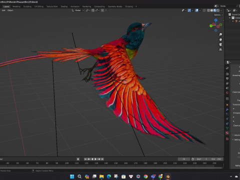 PheasantBirdB5 Modelo 3D