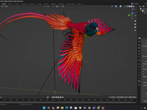 PheasantBirdB5 Modelo 3D