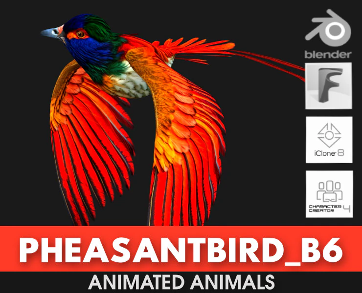 PheasantBirdB6 3D Model .c4d .max .obj .3ds .fbx .stl .blend 
