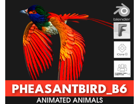 PheasantBirdB6 3D-Modell