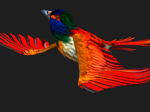 PheasantBirdB6 3D Model