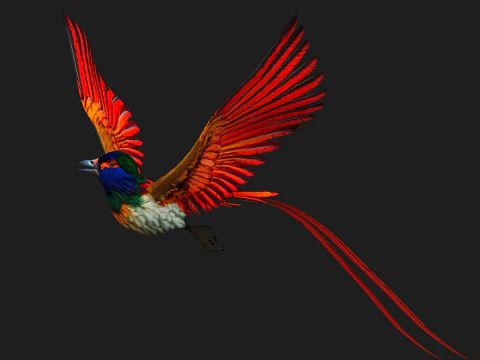 PheasantBirdB6 3D Model