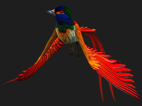 PheasantBirdB6 3D Model