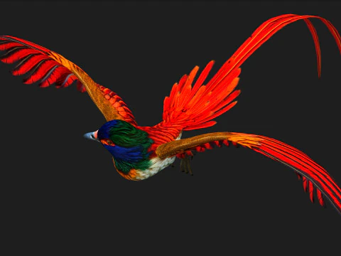 PheasantBirdB6 3D Model