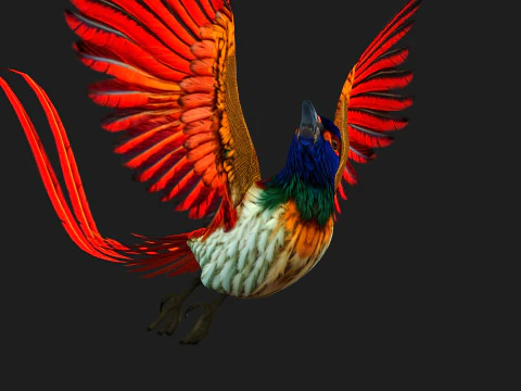 PheasantBirdB6 3D Model