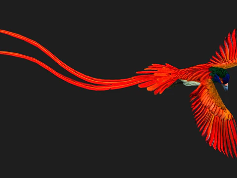 PheasantBirdB6 3D Model