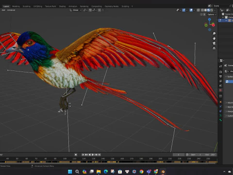 PheasantBirdB6 3D Model