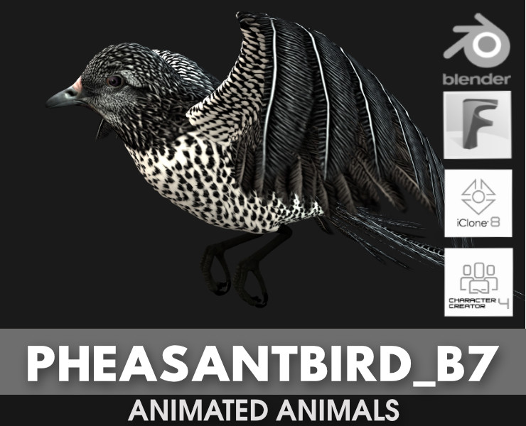 PheasantBirdB7 Modello 3D .c4d .max .obj .3ds .fbx .stl .blend 