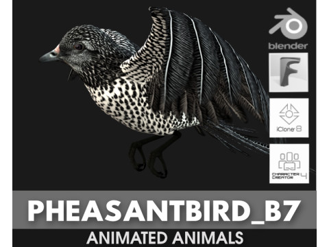 PheasantBirdB7 3D-Modell