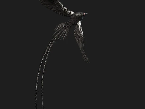 FagianoUccelloB7 Modello 3D