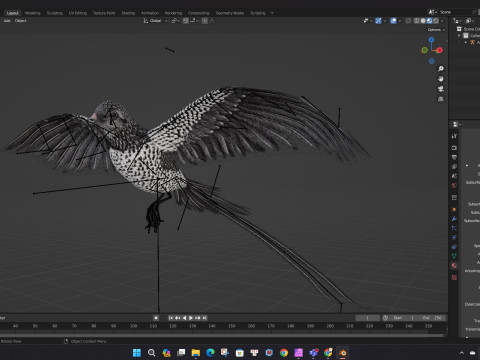 PheasantBirdB7 Modello 3D