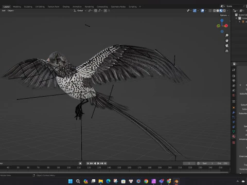 FagianoUccelloB7 Modello 3D