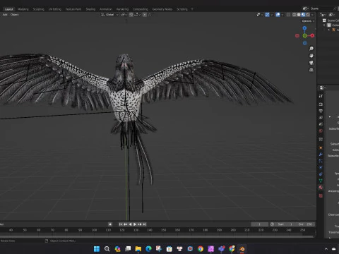 FagianoUccelloB7 Modello 3D
